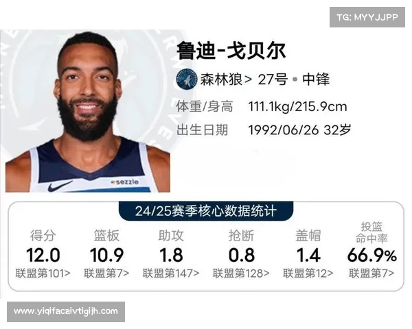 NBA犯规统计分析:球员、球队犯规情况及对比赛结果的影响 NBA犯规统计分析:球员、球队犯规情况及对比赛结果的影响